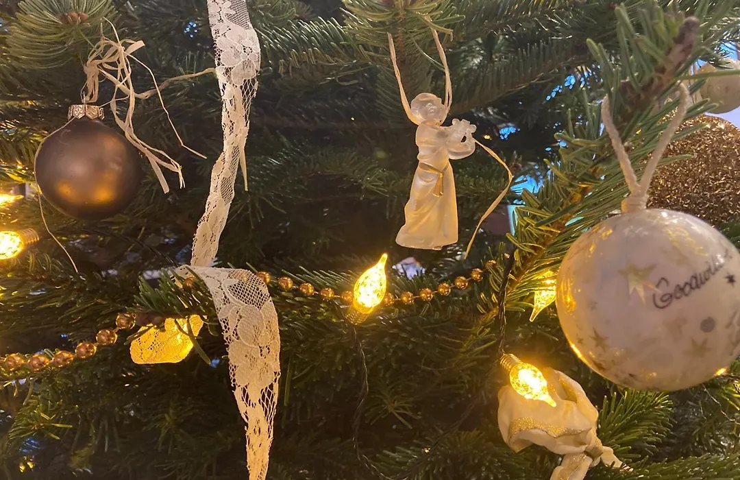 Tree & B-1