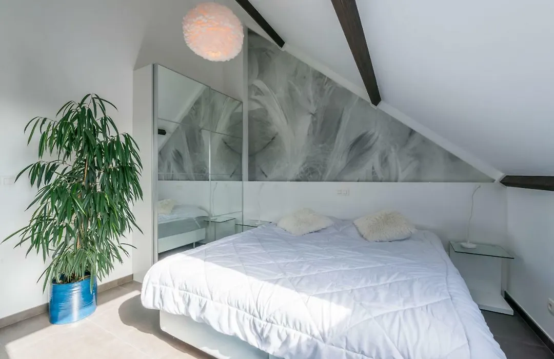Guesthouse De Roode-1