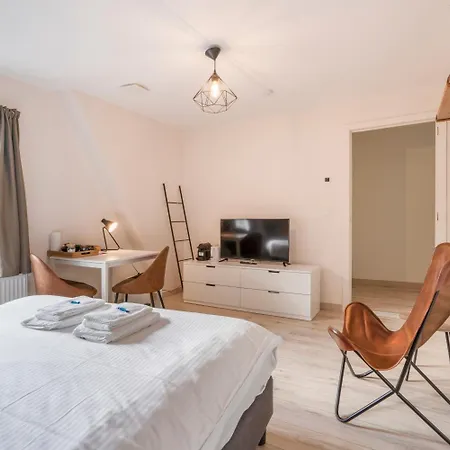 De Hoogmolen - 3 Mins From The City Centre-2